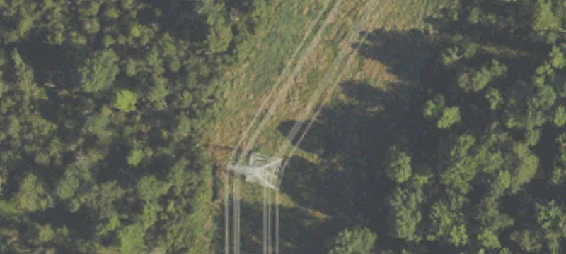 Gobles, MI 49055