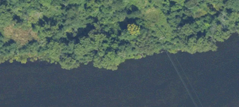 Galesburg, MI 49053