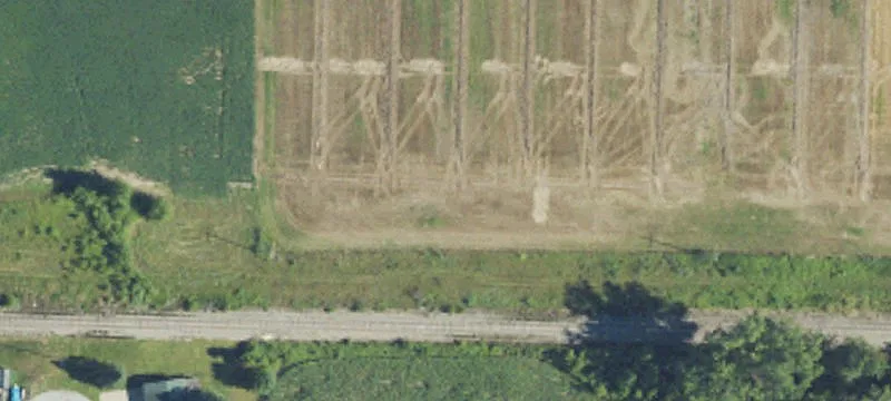 Garfield Rd