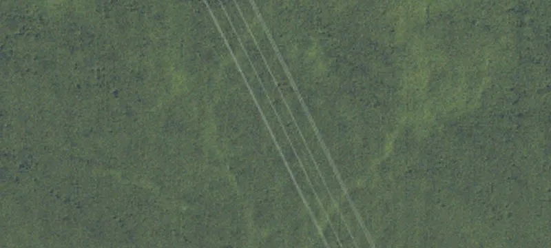 Hopkins, MI 49328