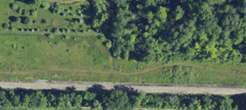Carter Rd