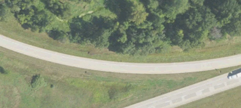 Laingsburg, MI 48848