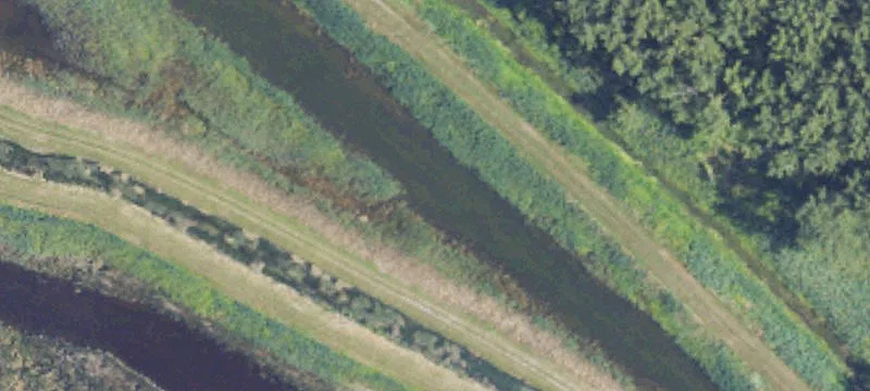 Lk Erie Marsh