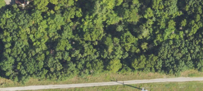 Latson Rd