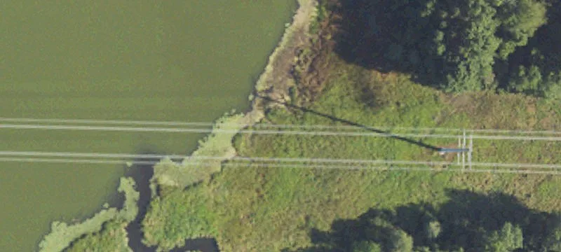 Argentine Rd