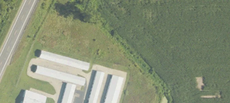 3156 M 66