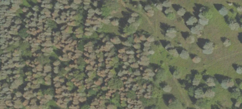 Hamilton, MI 49419