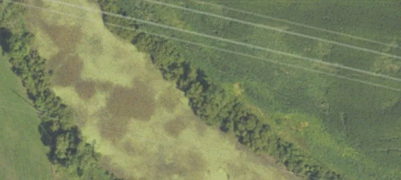 Dorr, MI 49323