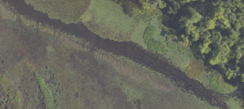 Allegan, MI 49010