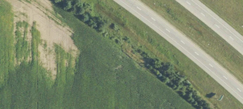 Shepherd, MI 48883