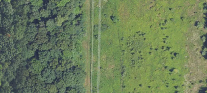 Lulu Rd