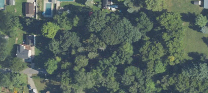 Maple Rapids, MI 48853