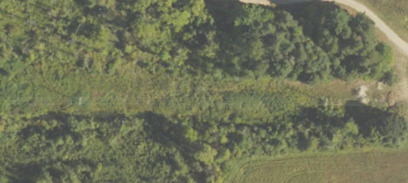 Fennville, MI 49408