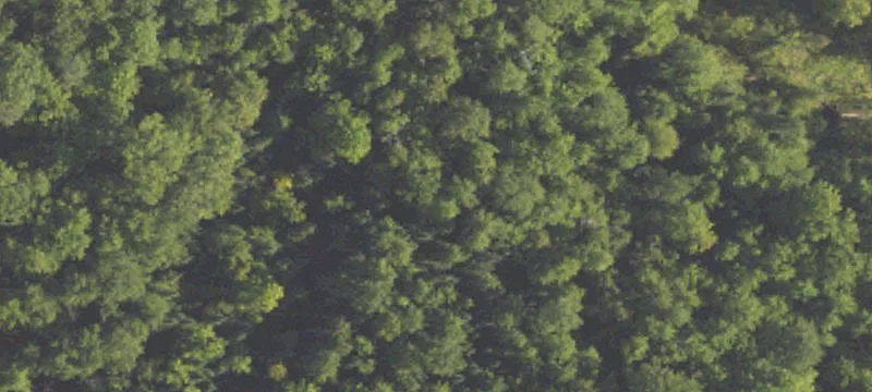 Marion, MI 49665