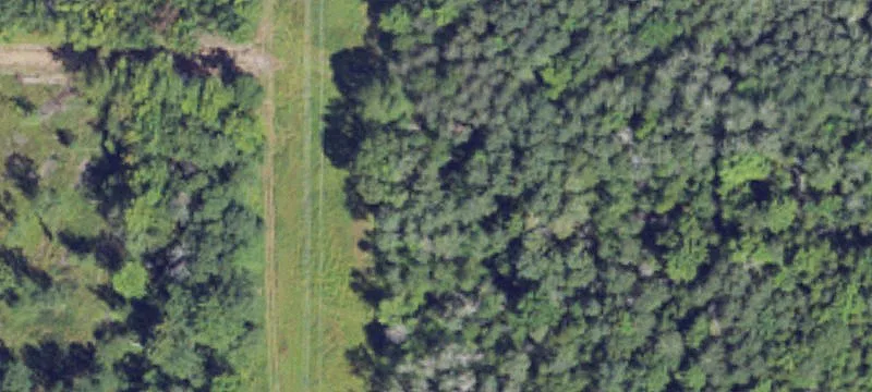Sanford, MI 48657