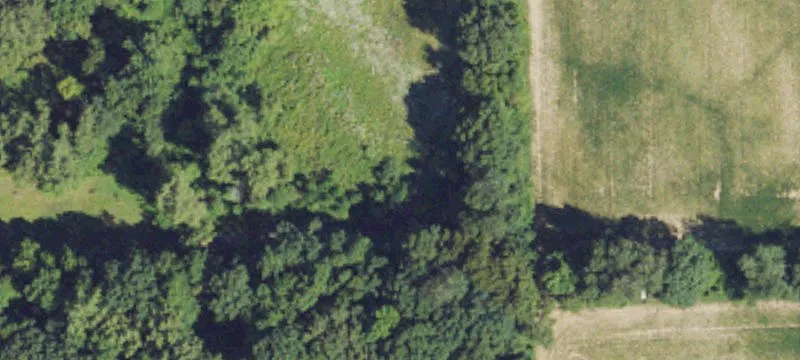 Reed Rd