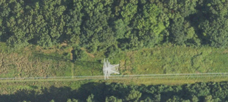 Todd Rd At Alcott Rd