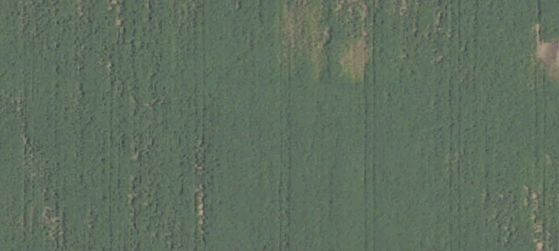 Allegan, MI 49010