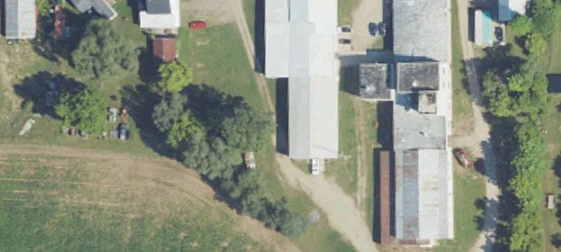 Elsie, MI 48831