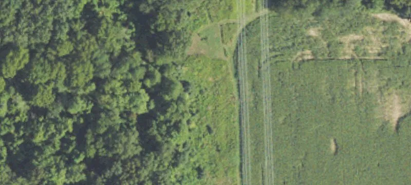 Allen Rd