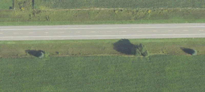 Sanilac
