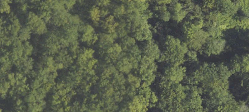 Fennville, MI 49408