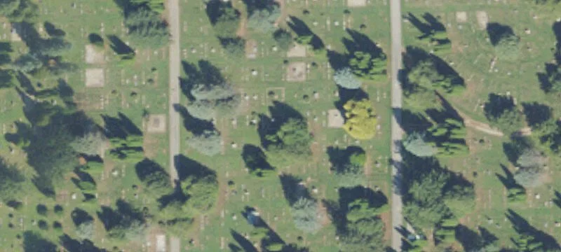 Cemetery