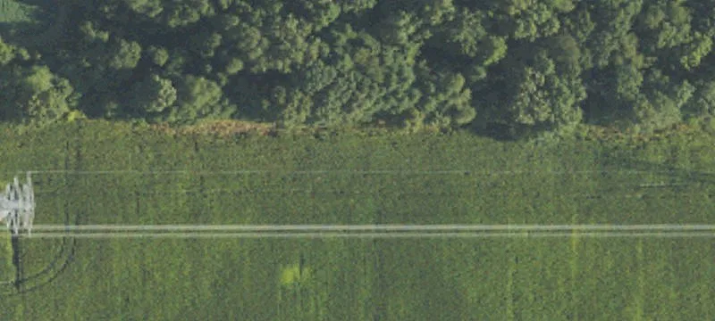 Bacon Rd