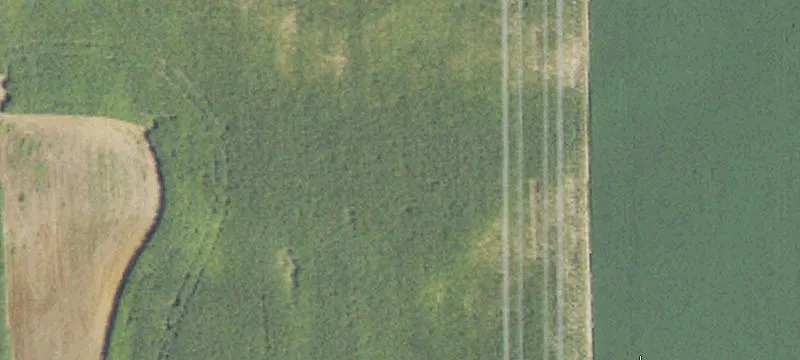 Burmeister Rd