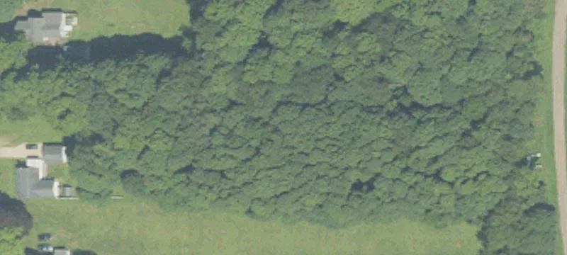 Mendon, MI 49072