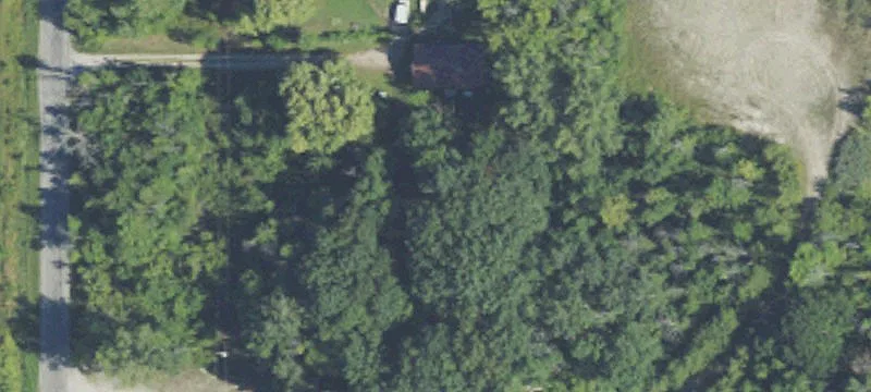 Maloney Rd Cemetery