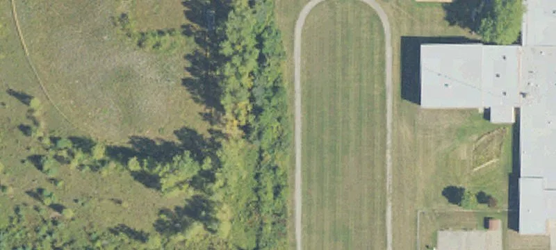 Rosebush, MI 48878