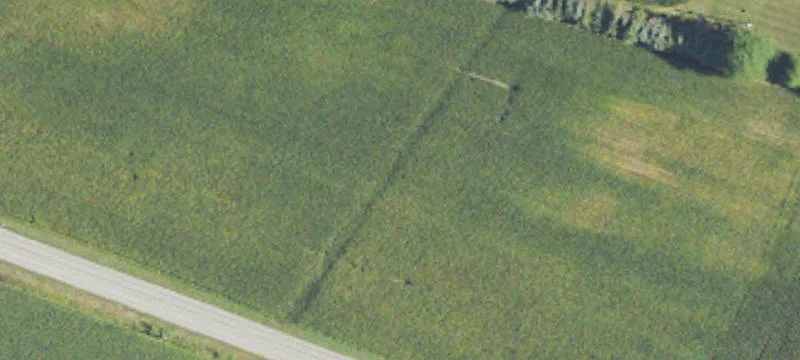 Doty Rd