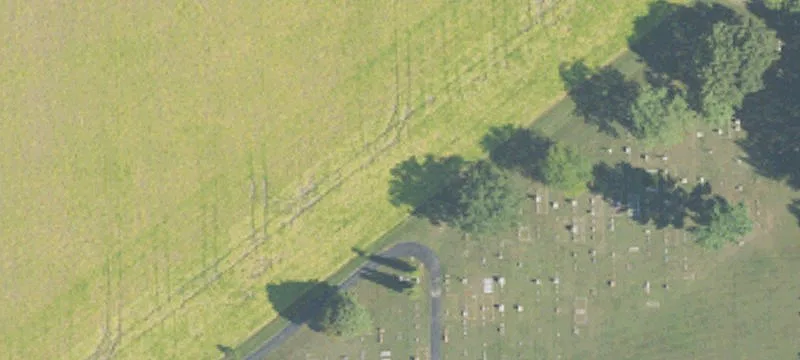 Bay City Forestville