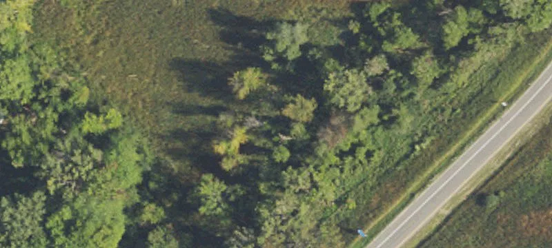 Maplegrove Dr