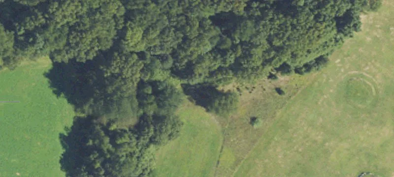 145 M 89