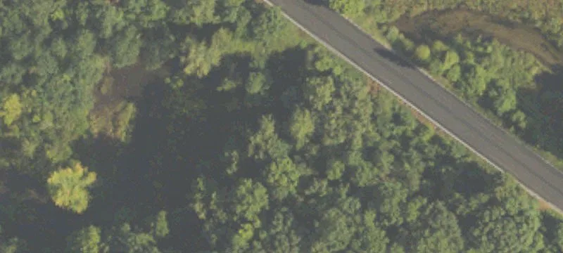 Cassopolis, MI 49031