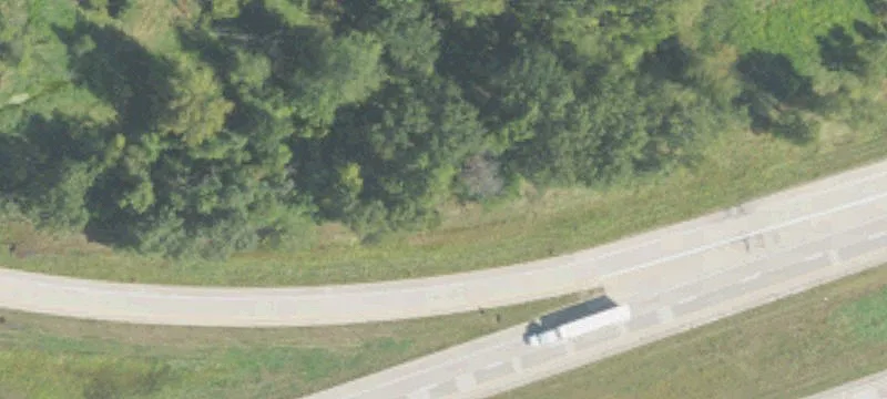 Laingsburg, MI 48848