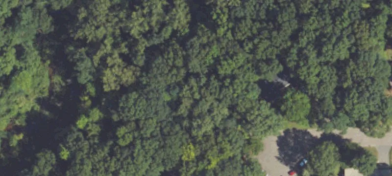 Westlake Woods