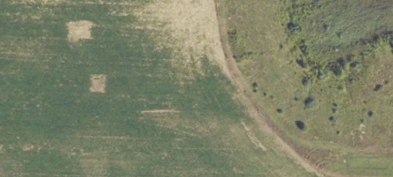 Allegan, MI 49010