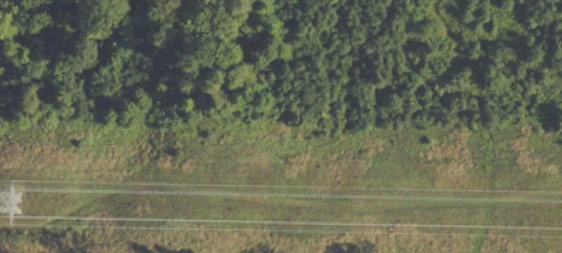 Gobles, MI 49055