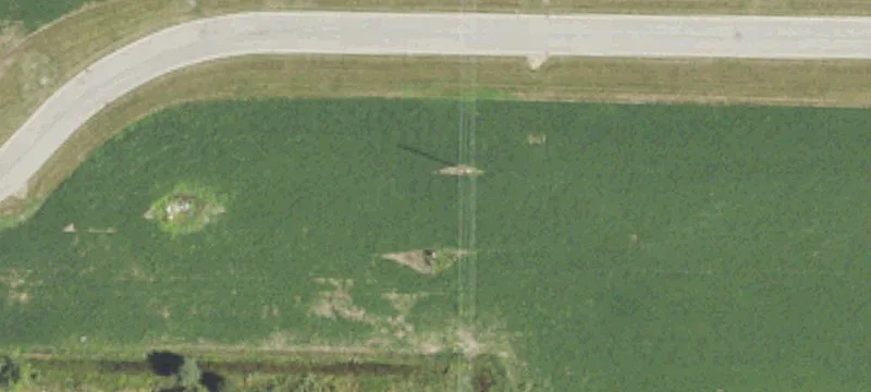 Coleman, MI 48618