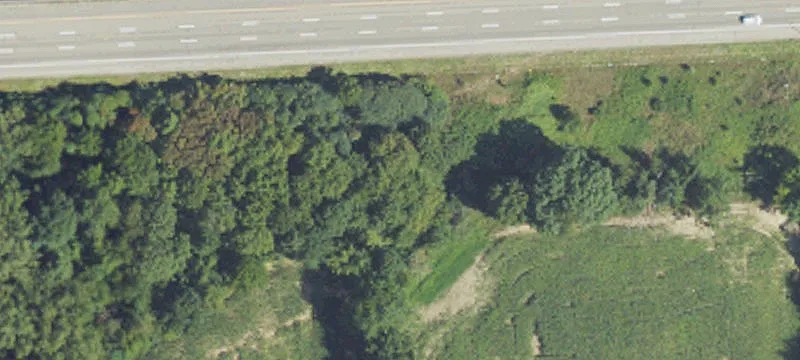 Jackson Rd