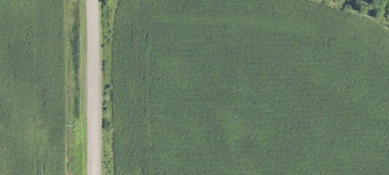 Carter Rd