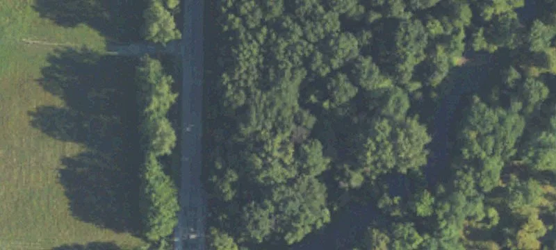 Fordney Rd