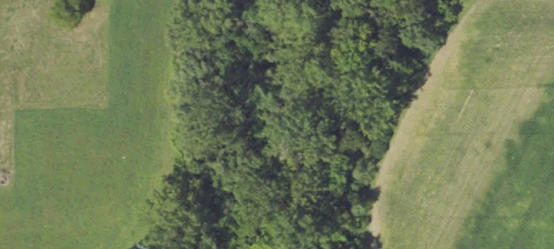 Akron, MI 48701