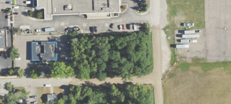 Rexwood