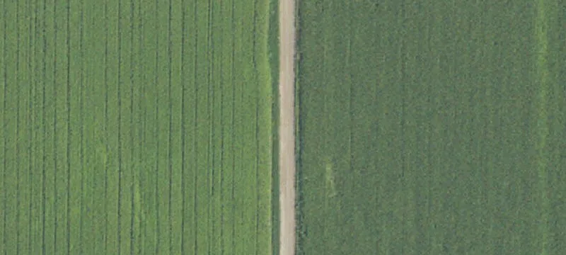 Shepherd, MI 48883