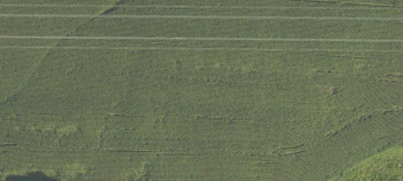Dorr, MI 49323
