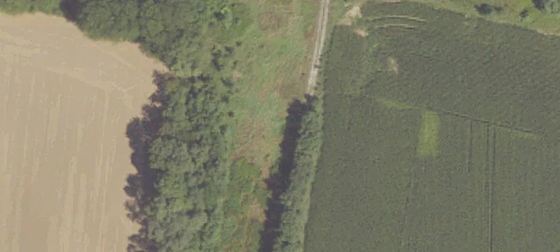 Miller Rd